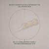 PERSH Vitamin C Serum - 10% Vitamin C | Hyaluronsäure