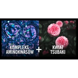 Syoss Color Protect Shampoo 440 ml