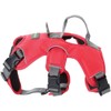 JUNELILY Pet Harness for Dogs Cats | Adjustable Soft Padded