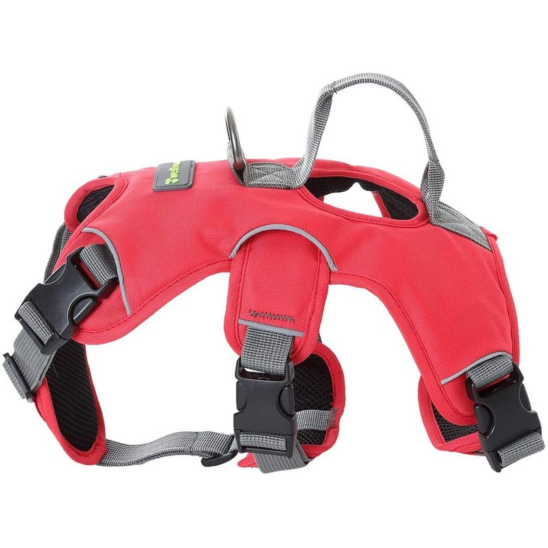JUNELILY Pet Harness for Dogs Cats | Adjustable Soft Padded
