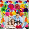 ZERODECO Party Decorations, 41 Pcs Multicoloured Papar Fans Pompoms Garlands