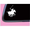 Polo Horse Sticker TP 1328 vinyl 6" Decal pony