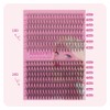 ANNAFRIS Eyelash Extensions, 10D + 20D Eyelash Clusters, 280 Pieces,