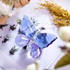 H&D HYALINE & DORA Crystal Cut Butterfly Animal Ornament Decoration