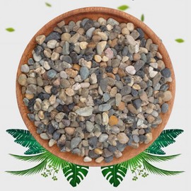 20lbs Coarse Sand Stone - Succulents and Cactus Rocks, Decorative Gravel for Plants and Vases Fillers，Terrarium, Fairy Gardening, Natural Stone Top Dressing for Potted Plants.