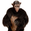 WIDMANN CHIMPANZEE 3/4 OPEN MOUTH MASK