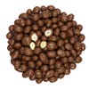 Smarty Stop Chocolate Covered Peanuts (1 Pound (Pack of 1),