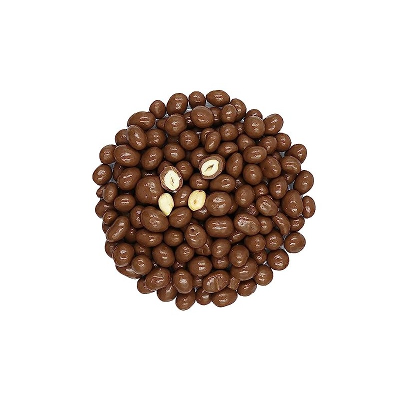 Smarty Stop Chocolate Covered Peanuts (1 Pound (Pack of 1),