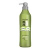 Recamier SalonIn Pro Keratin Ultra Force Shampoo For Damaged Hair