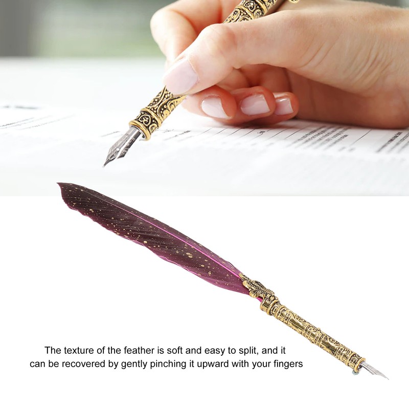Feather Pen Set with 10 Interchangeable Nib Fire Lacquer Wax