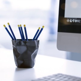 essey Essay PenPen Pencil Holder/Red