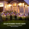 2 Pack Solar Stakes Lights LED Solar Landscape Lights LED