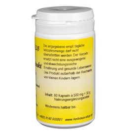 Herbosus Ginkgo Extract Capsules for Concentration