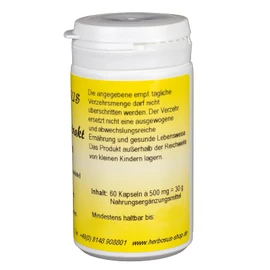 Herbosus Ginkgo Extract Capsules for Concentration