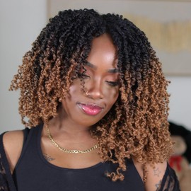 Toyotress Yanky Twist Crochet Hair - 12 Inch 2 Packs (30 Strands/Pcs) Fluffy Spring Mini Twist Short Bob Passion Twist, Ombre Brown Pre-Looped Crochet Braids Braiding Hair (12 Inch, 2P-OT30)