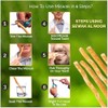 Paquete de 12 palitos de Miswak para dientes con soporte