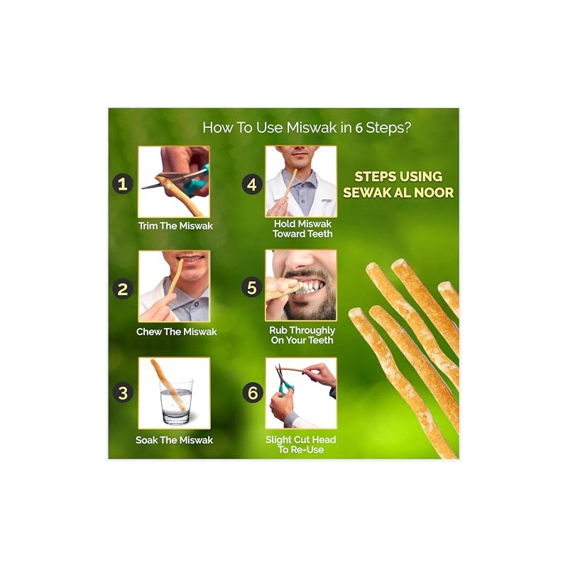 Paquete de 12 palitos de Miswak para dientes con soporte