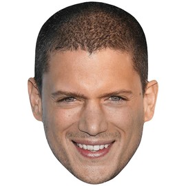 Wentworth Miller (Smile) Celebrity Mask, Flat Card Face, Fancy Dress Mask