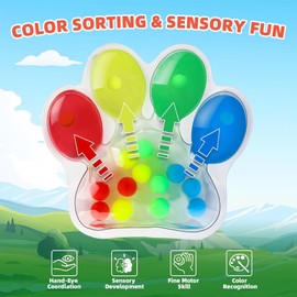 Colour Sorting Toy, Autism Toy, Sensory Toy for Sorting Colours, Anti-Stress Sensory Toy, Colour Assortment, Motor Skills Toy for ADHD, Children, Adults