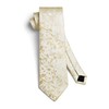 HISDERN Champagne Ties for Men Solid Floral Silk Paisley Mens