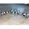 Jextech Figuras De Juguete Panda Set De 8 Unidades Decoración