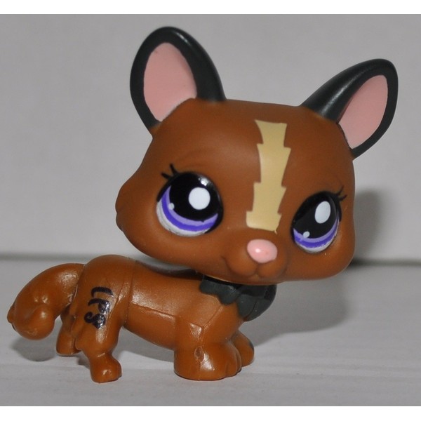 Corgi #1767 (Brown, Purple Eyes) - Littlest Pet Shop (Retired) Collector Toy - LPS Collectible Replacement Single Figure - Loose (OOP Out of Package & Print)