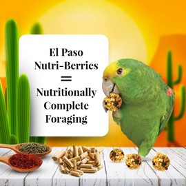 El Paso Nutri-Berries