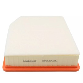 Dasbecan Air Filter For VIN: L, Eng Code: L87 ACDelco GM Original Equipment A3244C