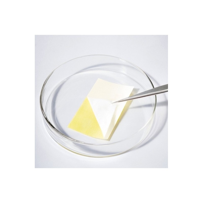 Glutathione melting film 10 sheets (1BOX) / 글루타치온 멜팅 필름