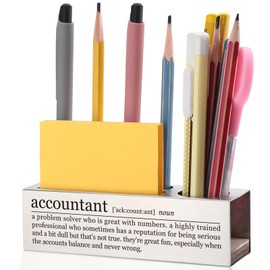 EFFJNSG Accountant Desk Pencil Holder Appreciation Gift for Accountants Fun Office Decor for Financial Professionals Unique Pen Holder for Bookkeepers EDP94
