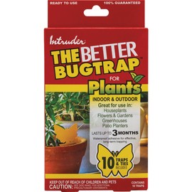 Intruder 21085 The Better Bugtrap for Plants with Hangties 10 Pack