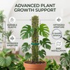 Poste de Musgo para Plantas Trepadoras, Soporte de Plástico en