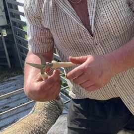 Masterclip Super Sharp Foot Rot Shears - Sprung Loaded Hand Shears for Cutting Sheep’s Trotters - Suitable for Sheep, Lambs, Goats