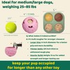 5-in-1 Dog Enrichment Toy – Bite & Brush Freeze Ball,