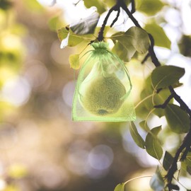 Pack of 100 Organza Bags 10 x 15 cm Bags for Filling Green with Drawstring, Small Bags for Filling as Wedding Candy Bags, Jewellery Bags, Gift Bags