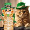 Funny St Patricks Day Cat Hand Towels for Bathroom Kitchen