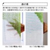 NEXT Printed Noren, Cat Biyori; Width 33.5 x Length 59.1