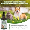 Cat & Dog Seasonal Allergy Relief, for Itching, Scratching and