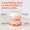 NativePath Native Hydrate, sin azúcar, polvo de electrolitos con BCAA,