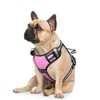 WINSEE Dog Harness, For Small/Medium/Large Dogs, Noble Training, Escape Prevention,