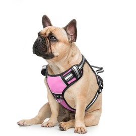 WINSEE Dog Harness, For Small/Medium/Large Dogs, Noble Training, Escape Prevention, Walking Aid, Reflective Safety Design, Lightweight, Breathable, Adjustable, Front and Back with Dual Clips, Built-In