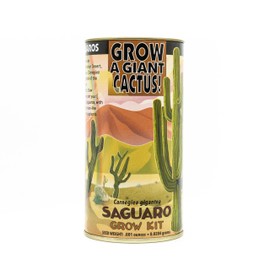 Saguaro | Seed Grow Kit | The Jonsteen Company