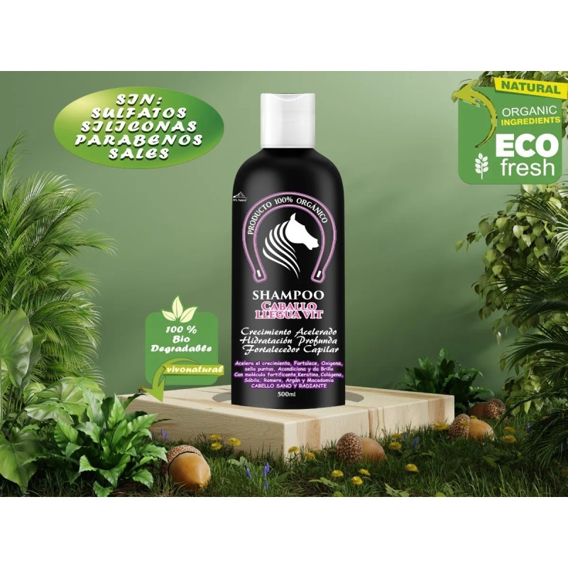 Shampoos Extracto Cola Caballo Aceite Bergamota