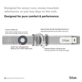 Premium Dog Collar by Blue. (Small Quakie Silver)