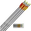 Fiberglass Arrows / Length: 28 inches (72 cm) / for