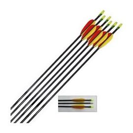 Fiberglass Arrows / Length: 28 inches (72 cm) / for Compound / Recurve Bows (6 X 28 inches)