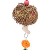 Parrot Cage Shredder Toy Bird Chewing Foraging Shredder Toy for