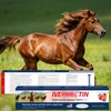 edoia Equine Paste 1.87% – 6 Pack (6.08g) Apple Flavored
