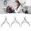 3pcs Residual Root Forceps Set Stainless Steel Dental Root Fragments