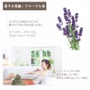 ASH Geranium Essential Oil 3.4 fl oz (100 ml) AEAJ